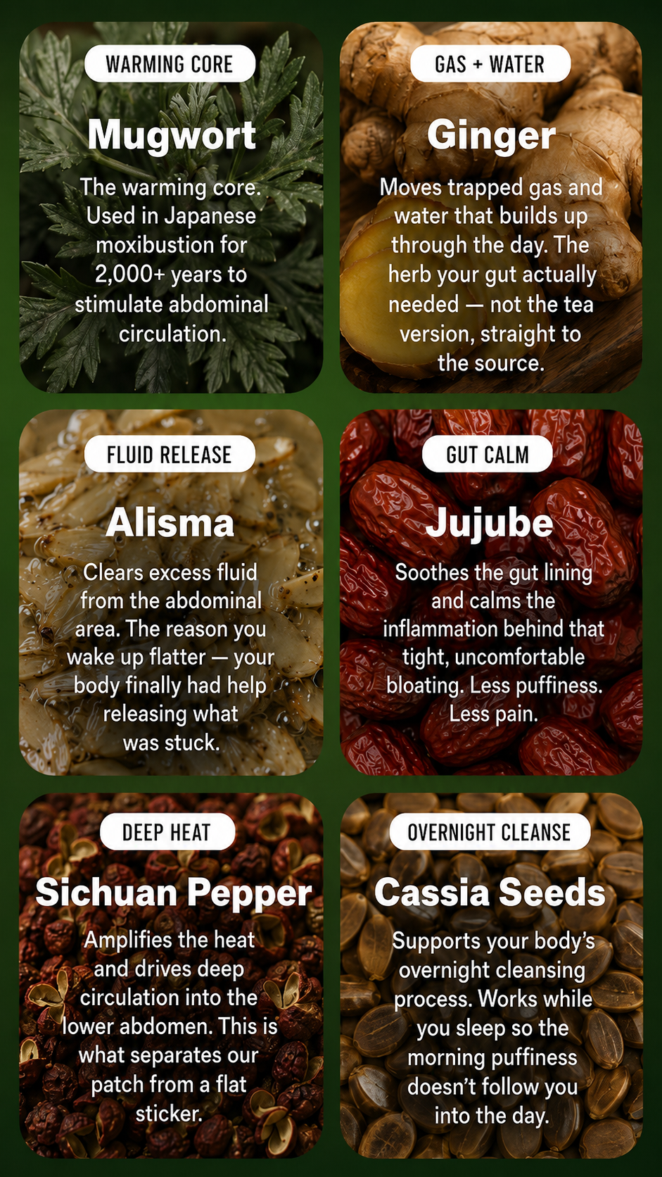 6 botanicals. 1 herbal ball. All night.